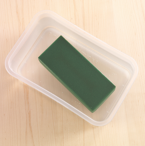 Artesia® Floral Wet Foam FloraCraft